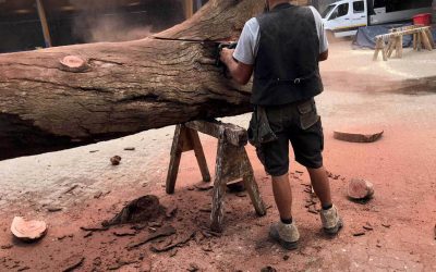 AusbildungWeltweit: Unser Auszubildender in Namibia