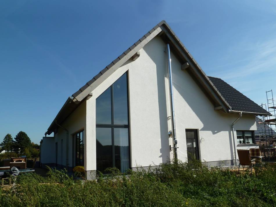 Gartenseite des Hauses mit großer Glasfront, sichtbarem Edelstahlkamin und umgebender Vegetation