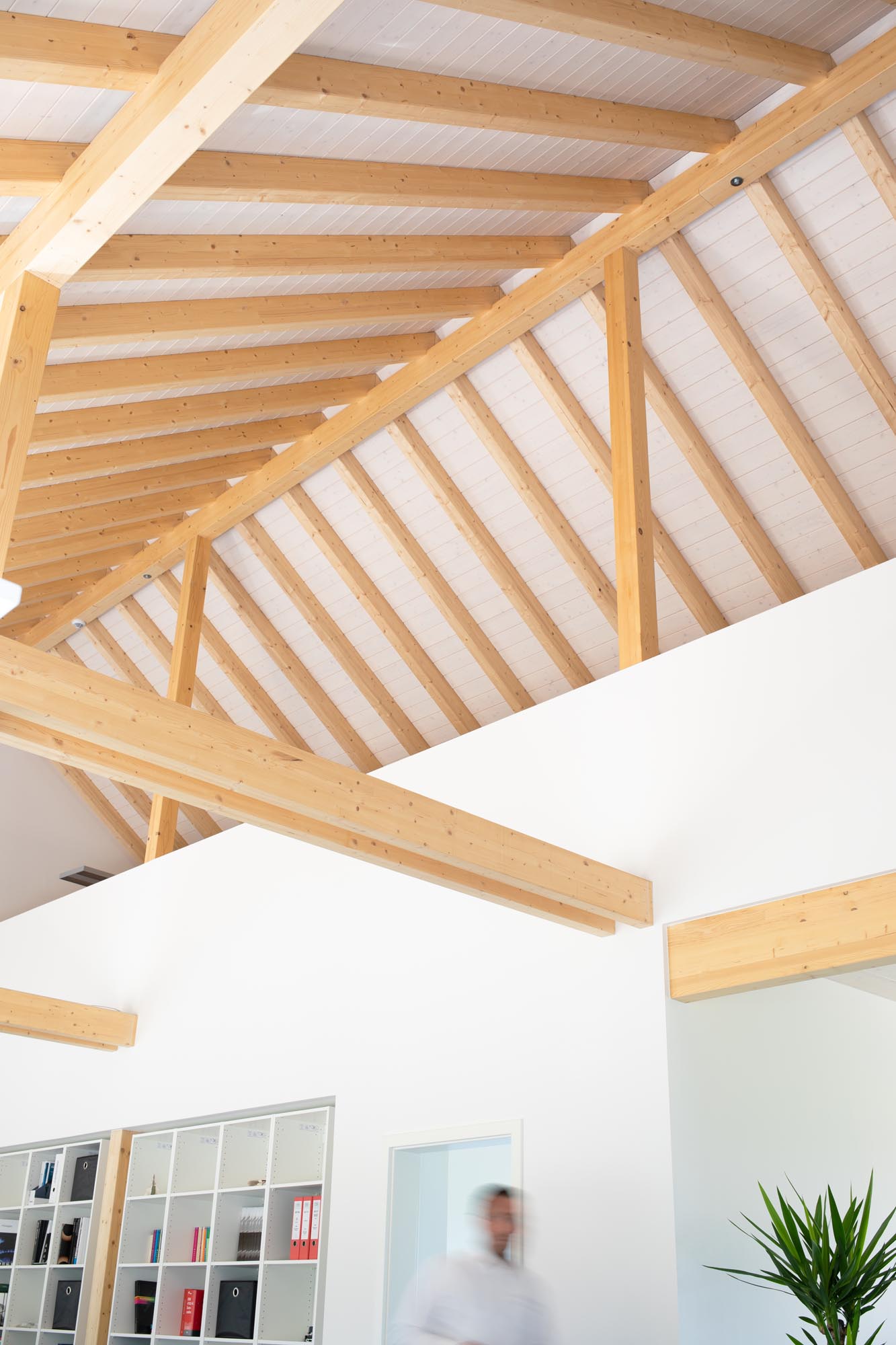 Detailansicht eines sichtbaren Dachstuhls mit Holzbalken und weißer Untersicht in einem Bürogebäude