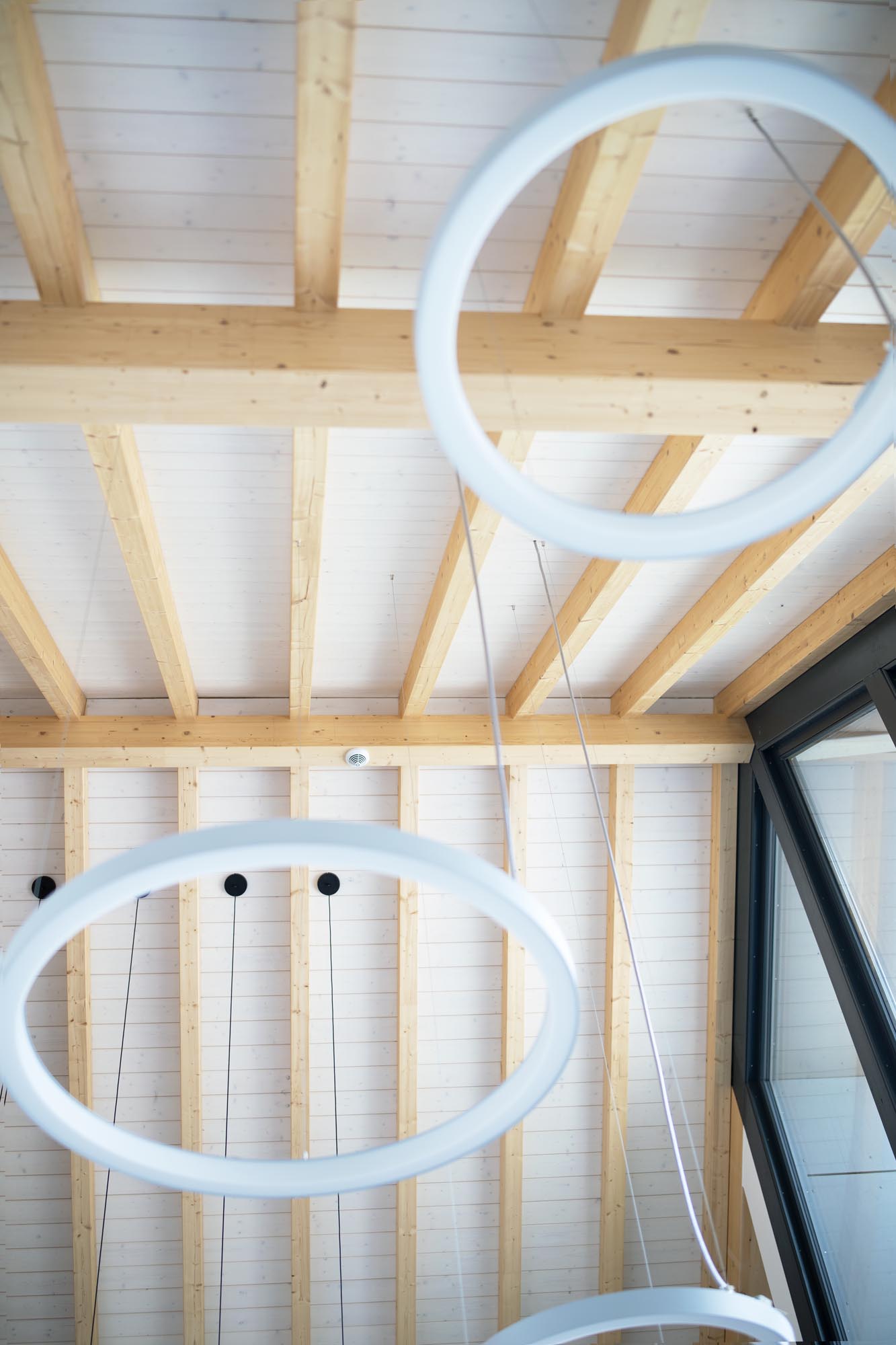 Sichtbare Holz-Dachkonstruktion mit weißer Untersicht und runden Pendelleuchten in einem Bürogebäude