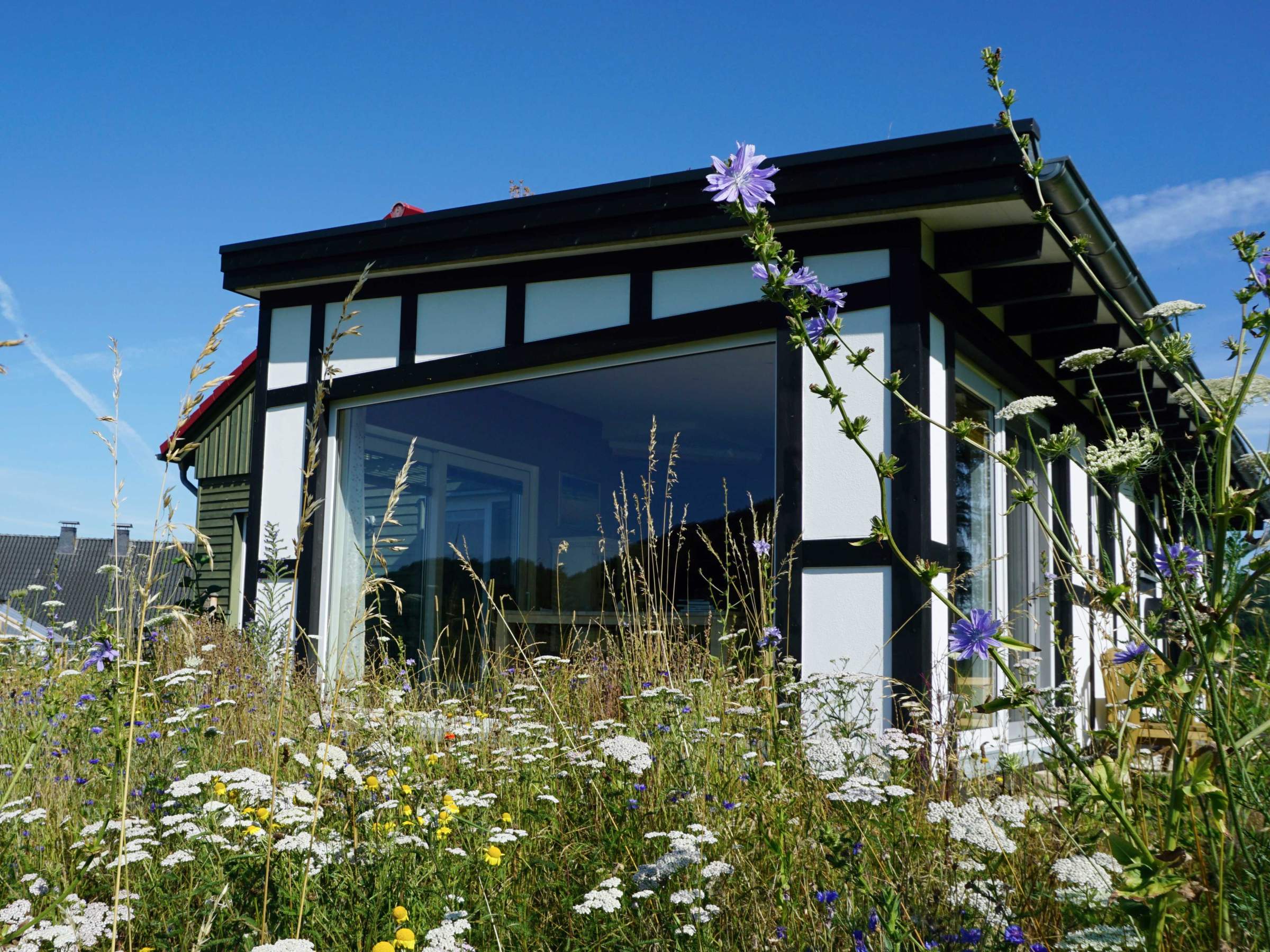 Hausansicht durch eine Blumenwiese mit Fachwerkfassade und großem Fensterband